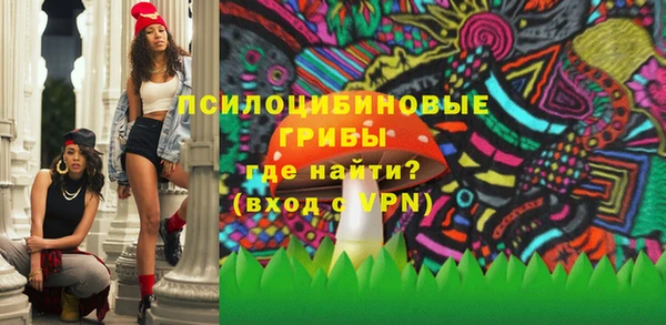 спиды Горнозаводск