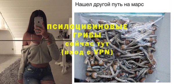 спиды Горнозаводск
