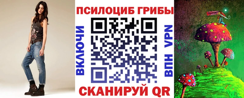 Купить  Кирс  Галлюциногенные грибы Psilocybine cubensis 